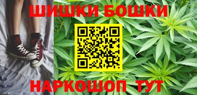 индика Можга