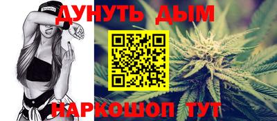 индика Можга