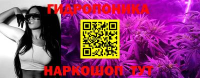 индика Можга
