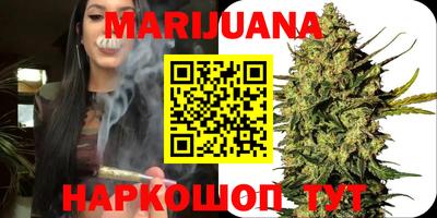 индика Можга