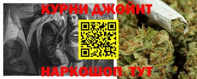 индика Можга