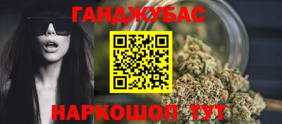 индика Можга