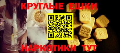 индика Можга