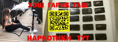 индика Можга