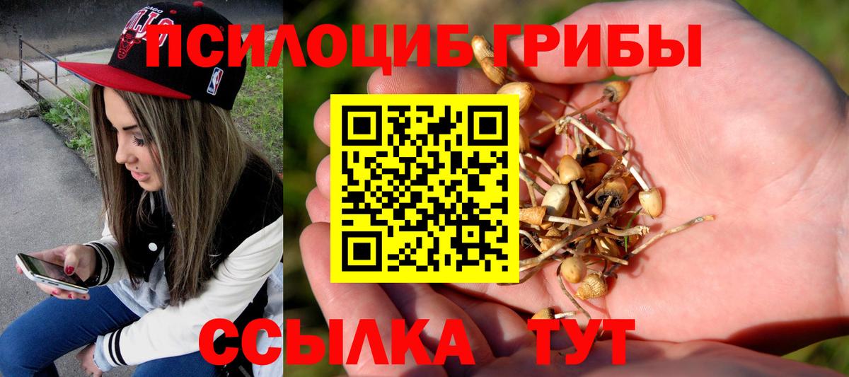 Галлюциногенные грибы Magic Shrooms  купить  цена  Галлюциногенные грибы MAGIC MUSHROOMS  Топки  Вход с VPN 